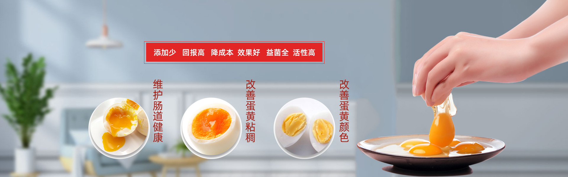 发酵辣椒粕